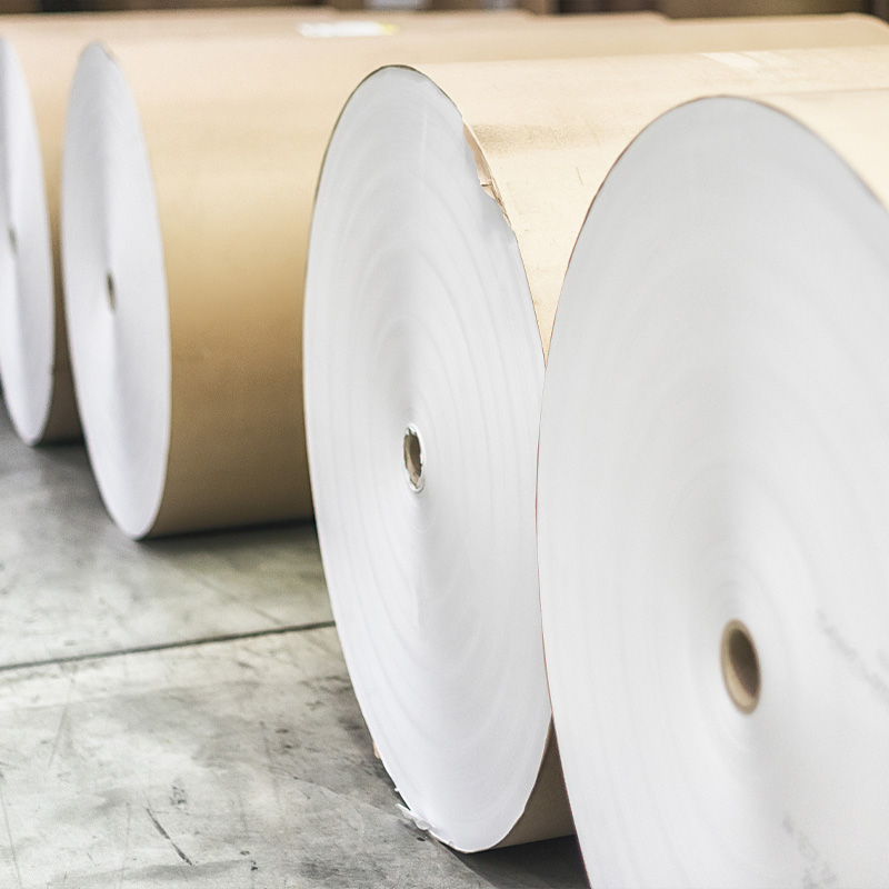 Filterpapierrollen